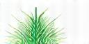GroenTech Innovaties B.V. logo